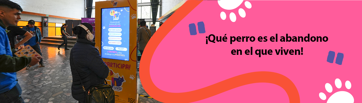 Testimonio 6